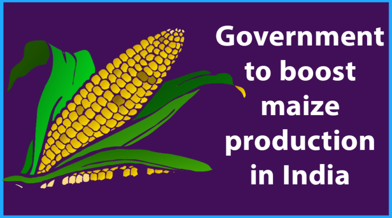 Government to boost maize production in India